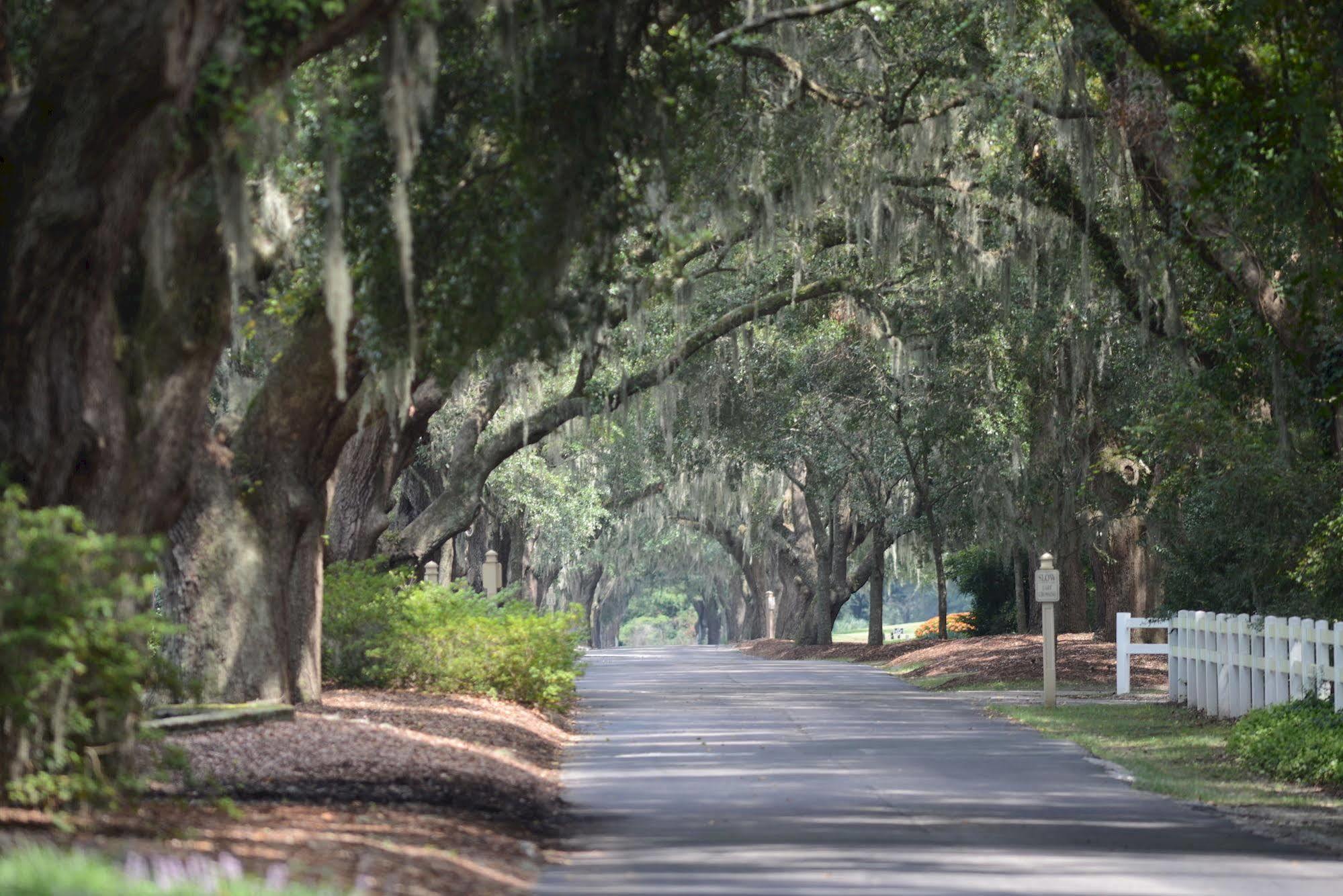 True Blue Golf Resort Pawleys Island